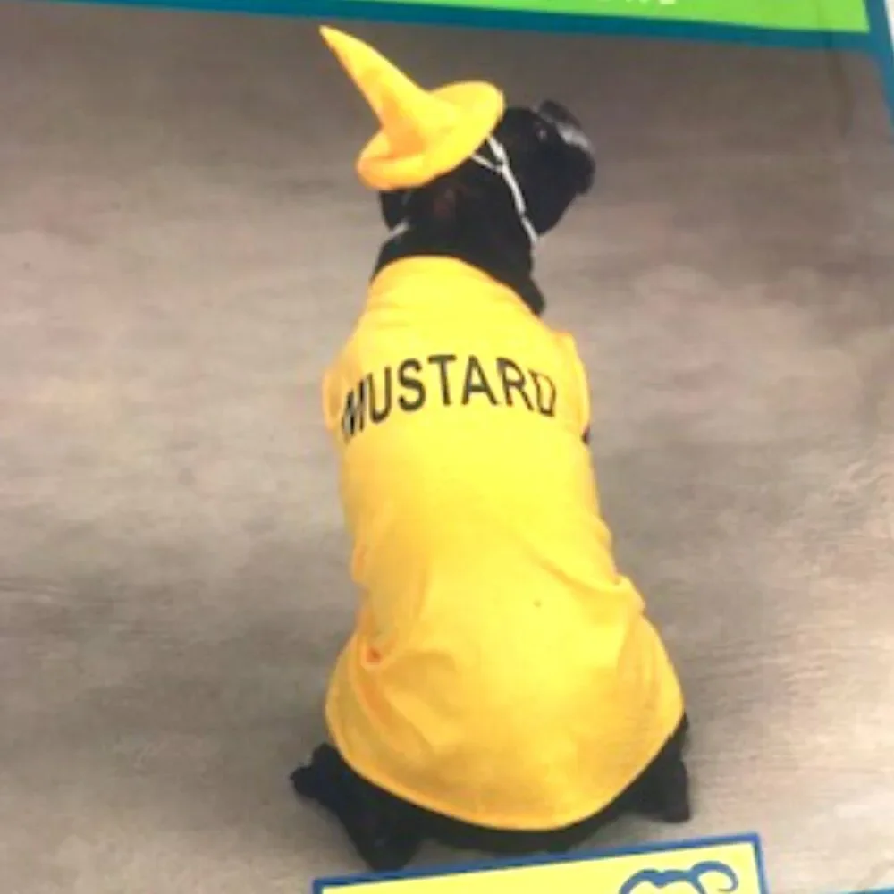 Casual Canine ** doggie